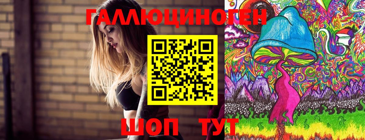 Ессентуки  Галлюциногенные грибы Psilocybine cubensis  Галлюциногенные грибы MAGIC MUSHROOMS  Вход с VPN 